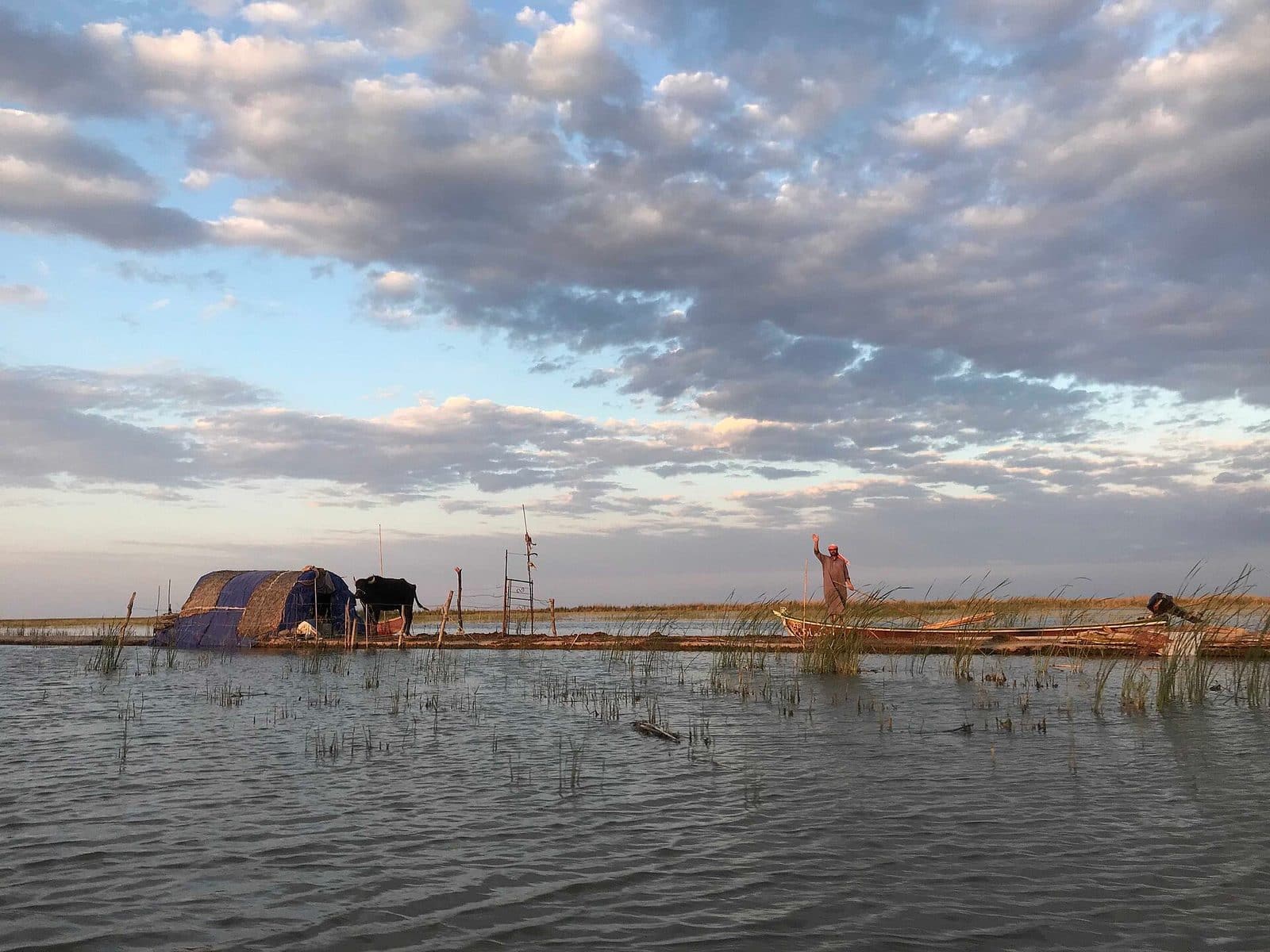 A buffalo herder waves from his dwelling near Suq al-Shuyukh